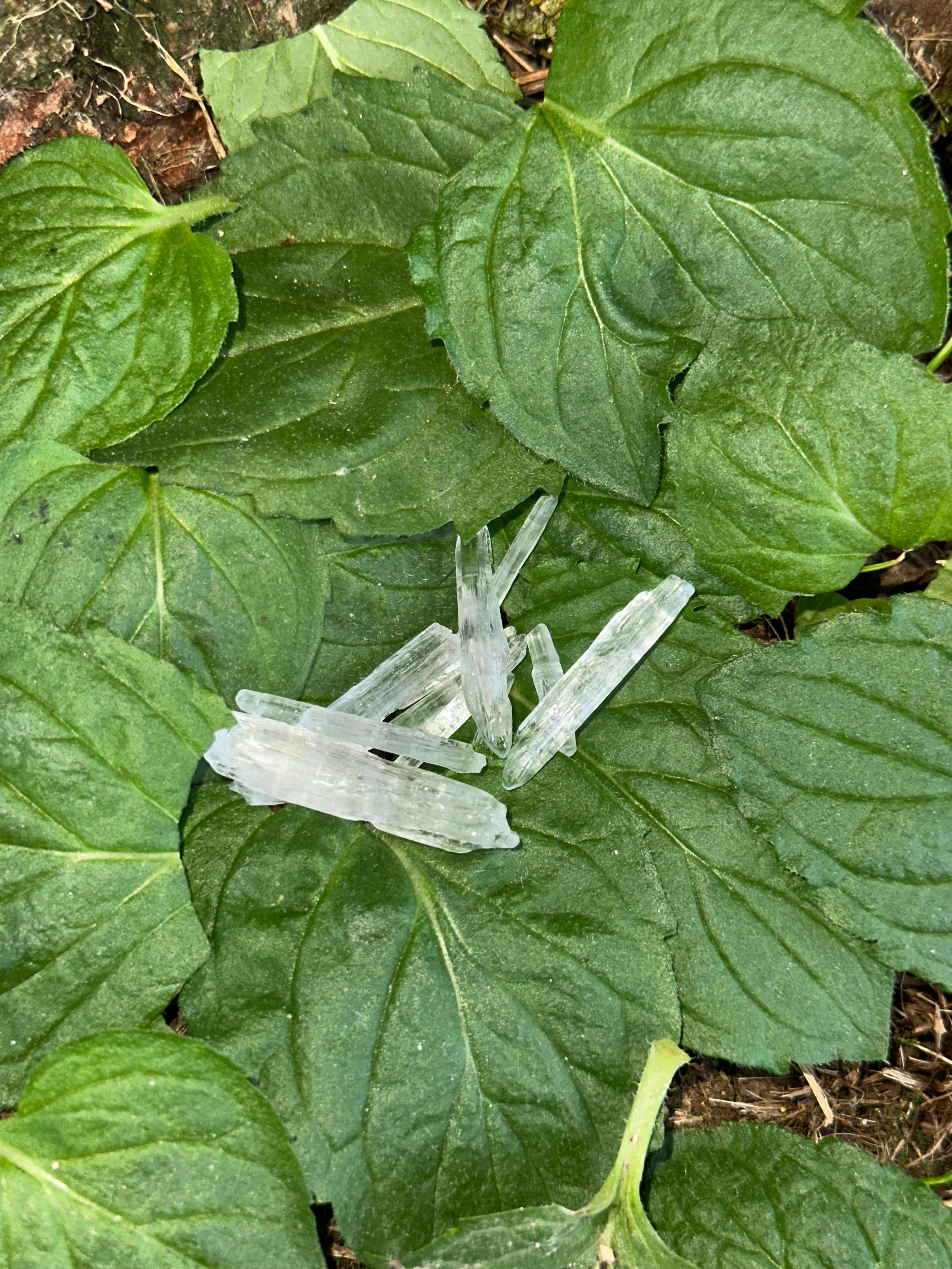 MyKristall - Menthol Kristall